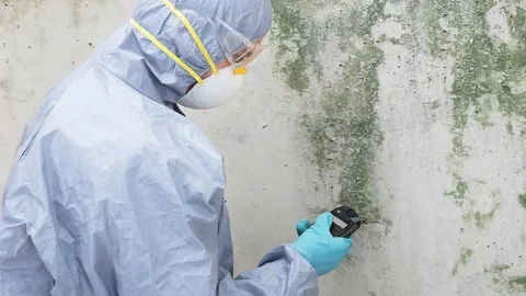Mould Testing & Inspections Sydney