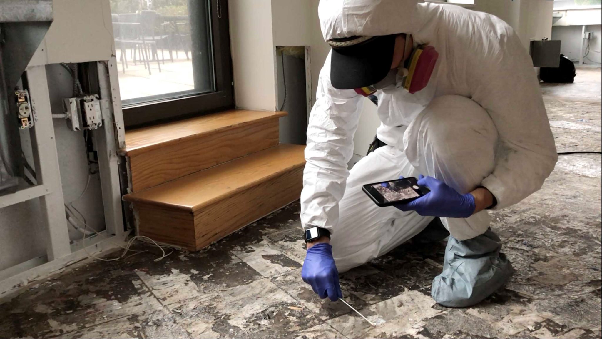 Professional mould removal Sydney