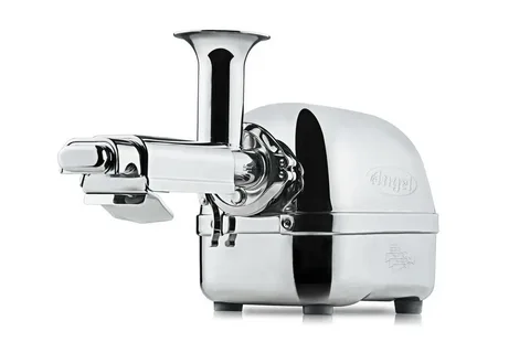 Angel Juicer 8500