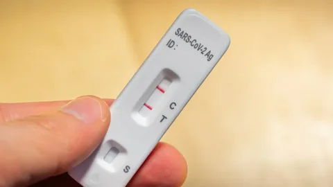 TGA Approved Rat Tests for Sale